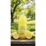 Frupan Meyve Suyu Konsantre Limon 2 Lt - 1/5 Oranlı