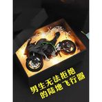 Fsfyb 1/12 Kawasaki H2R Simülasyon Alaşım Ses ve Işık Motosiklet Ninja Modeli Çocuk Oyuncak Süsler Kawasaki Siyah Hediye Kutusu (Yurt Dışından) - Renkli