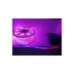 Fuji Led 24V Rgb Hortum Led 25M+Trafo