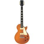 Fujigen NLS11RMP AG Neo Classic Elektro Gitar