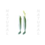 Fujin Salt Eel 13 cm 22 gr 031 Natural 2 Adet Silikon Yem