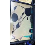 Fujıtsu Scenıcvıew E19w-5 19 1440 X 900 5 Ms Dvı-D Vga Speakers Monıtor Ekran Kırık