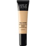 Full Cover Concealer - Kapatıcı N°06 Ivoire (15 Ml)