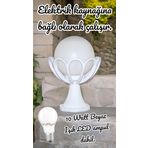 Full Reyon Beyaz Işık 10 W. Led Ampul Dahil Dekoratif Bahçe Duvar Aydınlatma Armatürü Set Üstü Dekoratif Aplik