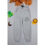 FullaModa Champion 3 İplik Baskılı Erkek Çocuk Eşofman Altı Gri %70 Pamuk %30 Polyester Normal Kalıp - 6 - 7 Yaş