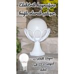 fullreyon Beyaz Işık 10 W. Led Ampul Dahil Dekoratif Bahçe Duvar Aydınlatma Armatürü Set Üstü Dekoratif Aplik