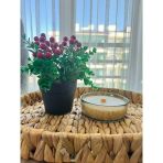 Füme Cam Kase Ahşap Fitilli Kokulu Soya Wax Mum