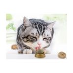 Fun And Market Buğz Kedi Nanesi Oyun Topu