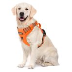 Funfox Köpek Koşum Çekme Yok Evcil Hayvan Koşum, Kolay Yürüyüş için Ayarlanabilir Köpek Yelek, Nefes Oxford Malzeme, Kontrol için Metal Ön Klipsli Yansıtıcı Şeritler Büyük Irk Köpekler Turuncu