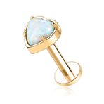 FUNLMO 16G Tragus Kıkırdak Helix Kabuklu Labret Medusa Piercing Takı Titanyum Düz Arka Küpe Dudak Halkası Dahili Dişli Labret Takı Burun Halkası Damızlık 6mm 8mm 10mm, diğer