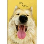 Funny Dog Notebook: Nice Mood, Happy Dog, Notebook For Dog Lover, Vet, Groomer, Children, Personal Use, Nice Gift, 100 Blank Pages (Volume 4), Glossy Cover