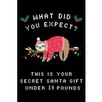 Funny Secret Santa Gift Under 10 Pounds: Sudoku Puzzle Book for Women and Men