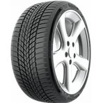 Funtoma 205/60 R16 92H Roadfun Kış Lastiği