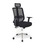 furnira Pronova Black Krom Ergonomik Ofis Sandalyesi | Bel Destekli Fileli Çalışma Koltuğu | Ayarlanabilir