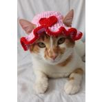 Furrever Crochet Kırmızı Kalp Desenli Bucket Şapka Örgü Kedi Köpek Şapkası Evcil Hayvan Şapkası Pet Aksesuarları