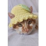 Furrever Crochet Limon Sarı Bucket Şapka Örgü Kedi Köpek Şapkası Evcil Hayvan Şapkası Pet Aksesuarları