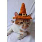 Furrever Crochet Turuncu Siyah Cadı Şapka Sarı Tokalı Örgü Kedi Köpek Şapkası Halloween Witch Pet Aksesuarları
