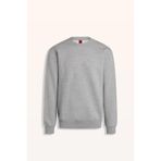 FV Drawing Butterflies Kapüşonlu Sweatshirt, Oversize, Gri, M Beden, Unisex
