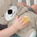 FXC66 Fisher-Price® Uyku Arkadaşı Su Samuru - RENK