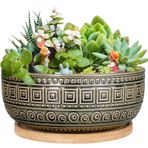 G EPGardening İç Mekan Bitkileri için 20,5 cm Seramik Sukulent Saksıları Yuvarlak Sığ Bonsai Saksı Drenaj ve Bambu Tabağı Mavi