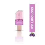 Gabrini ICE LIPGLOSS BLACKBERRY