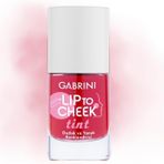 Gabrini Lip To Cheek Tint Rose Pink Ruj