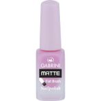 Gabrini Matte Oje No:21