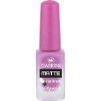 Gabrini Matte Oje No:22