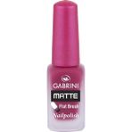 Gabrini Matte Oje No:29