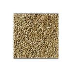 Gaga Yem Kanarya Sade Yem 1 kg Aspur