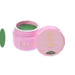 Gala Professional 15 ml No:100 Cream Oje