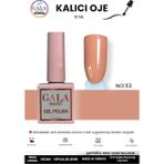 Gala Smart Doğal Tonlu Kalıcı Oje 10 ml Oje Kodu: 113