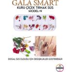 Gala Smart Kuru Çiçek Naıl Art Tırnak Süs A