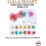 Gala Smart Kuru Çiçek Naıl Art Tırnak Süs C