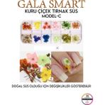 Gala Smart Kuru Çiçek Naıl Art Tırnak Süs D