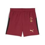 Galatasaray 2025/26 Üçüncü Çocuk Kırmızı Futbol Şortu 77982403
