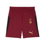 Galatasaray 2025/26 Üçüncü Erkek Kırmızı Futbol Şortu 77982303