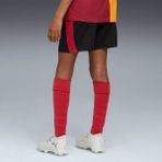 Galatasaray 25/26 Genç Futbol Şortu - Puma Black
