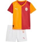 Galatasaray 779831-01 Puma Gs 25-26 İ&ccedil; Saha Çocuk Forma Sarı