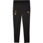Galatasaray Erkek Antrenman Eşofman Altı - Puma Black