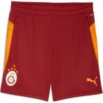 Galatasaray Erkek Antrenman Şortu