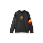 Galatasaray Erkek Sweatshirt E252106