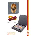 Galatasaray Orijinal Lisanslı 2'li Silikon Bileklik Aslan Baskılı Hediyelik Ahşap Kutulu