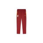 Galatasaray Puma A Takım Antrenman Eşofman Alt 78289401