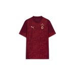 Galatasaray Puma A Takım Antrenman T-Shirt 78288403