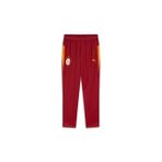 Galatasaray Puma Çocuk A Takım Antrenman Eşofman Alt 78289501