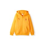 Galatasaray Puma Çocuk Fermuarlı Kapüşonlu Sweatshirt 78291506