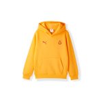 Galatasaray Puma Çocuk Kapüşonlu Sweatshirt 78291406