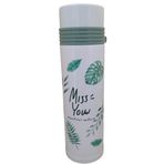 Galeri Kristal Miss 350 ml Termos