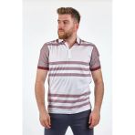 Gallus Erkek Polo Yaka Çizgili T-Shirt - Kısa Kol Regular Fit